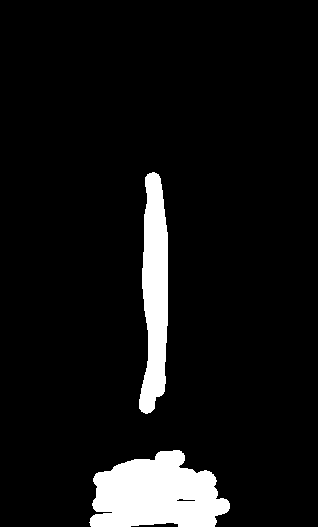 input image