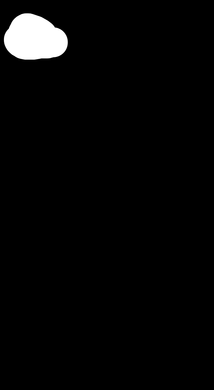 input image